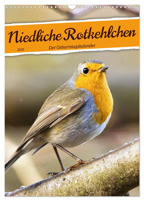 Niedliche Rotkehlchen (CALVENDO Wandkalender 2025)