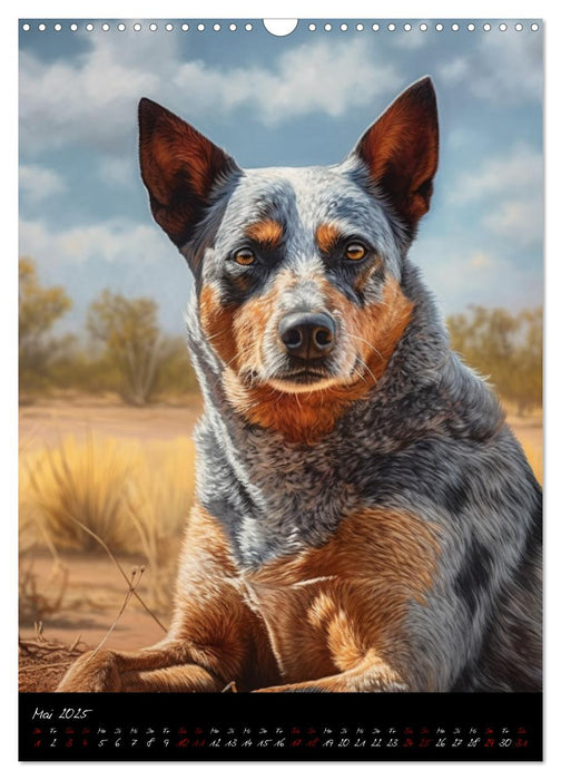 Australian Cattle Dogs (CALVENDO Wandkalender 2025)