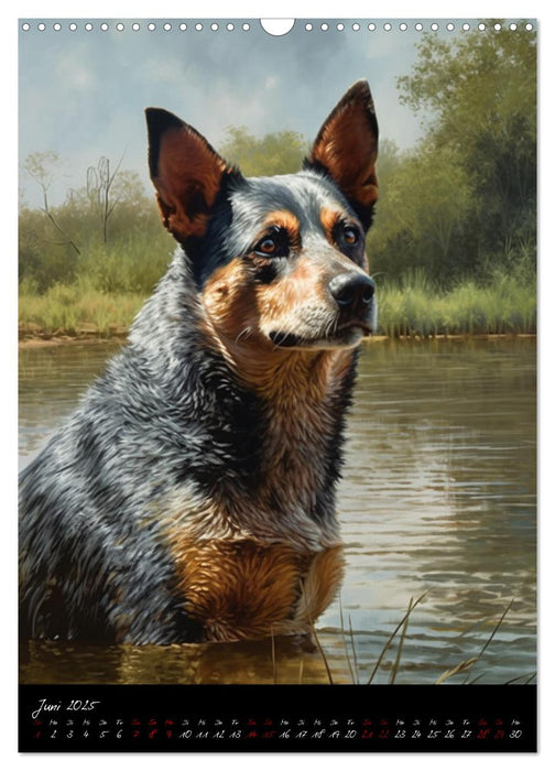 Australian Cattle Dogs (CALVENDO Wandkalender 2025)