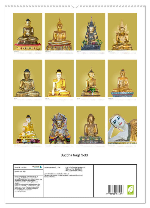 Buddha trägt Gold (CALVENDO Premium Wandkalender 2025)