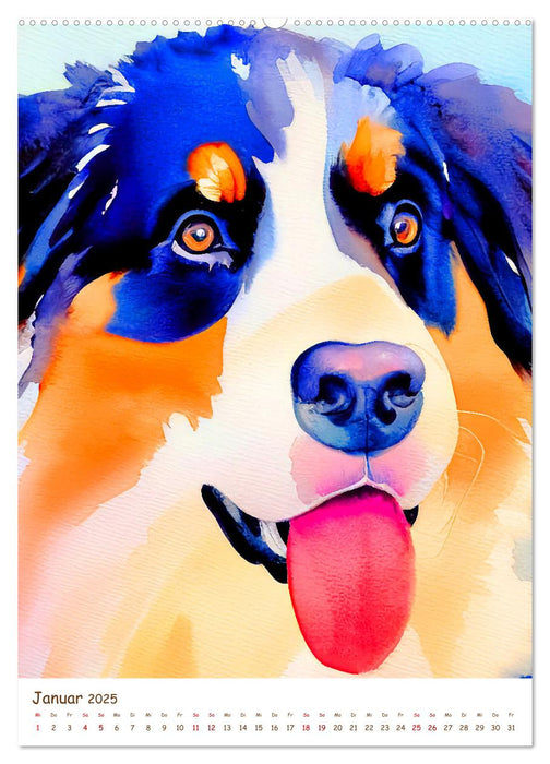 Berner Sennenhund 2025. Schöne Aquarelle der schweizer Hunderasse (CALVENDO Premium Wandkalender 2025)