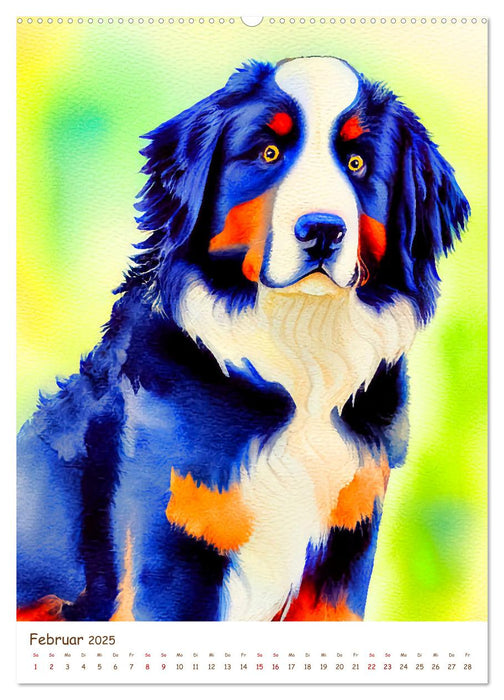 Berner Sennenhund 2025. Schöne Aquarelle der schweizer Hunderasse (CALVENDO Premium Wandkalender 2025)