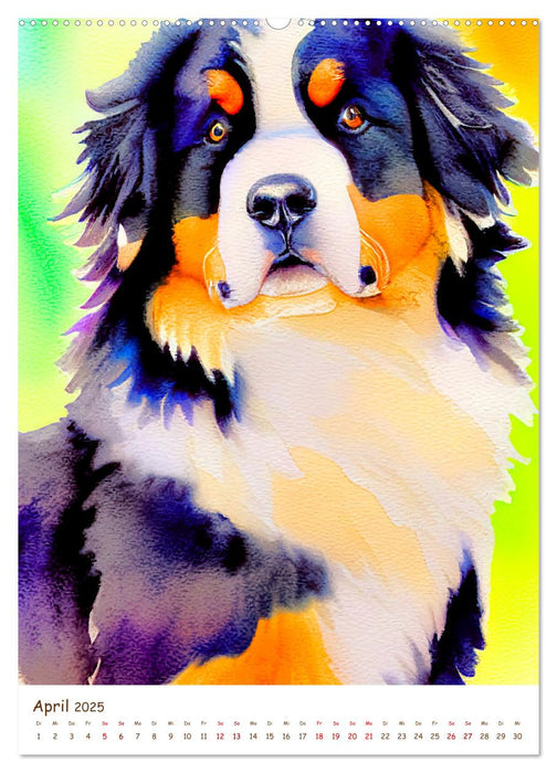 Berner Sennenhund 2025. Schöne Aquarelle der schweizer Hunderasse (CALVENDO Premium Wandkalender 2025)