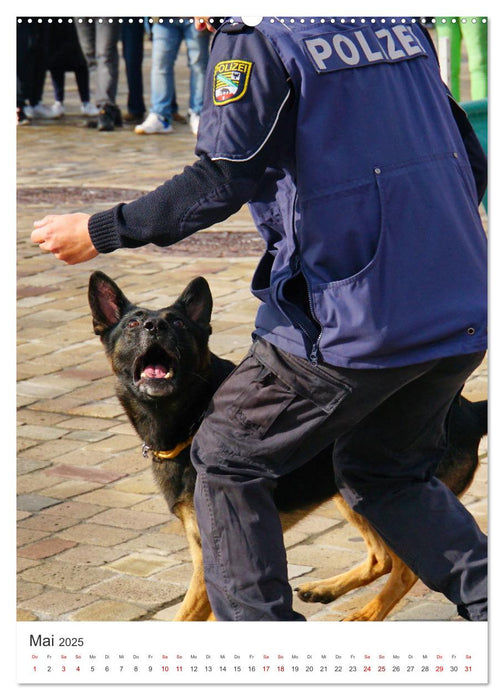 Tag der Polizei (CALVENDO Wandkalender 2025)