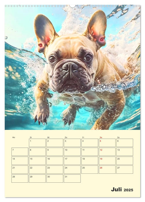 Lustige Fledermäuse. Französische Bulldoggen bei der Freizeitgestaltung (CALVENDO Premium Wandkalender 2025)