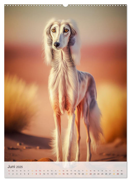 Persischer Windhund (CALVENDO Premium Wandkalender 2025)