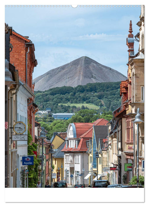 Die Stadt Sangerhausen (CALVENDO Premium Wandkalender 2025)