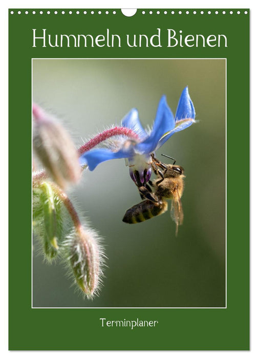 Hummeln und Bienen Terminplaner (CALVENDO Wandkalender 2025)