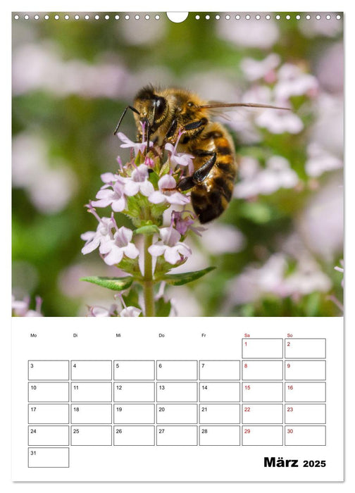 Hummeln und Bienen Terminplaner (CALVENDO Wandkalender 2025)