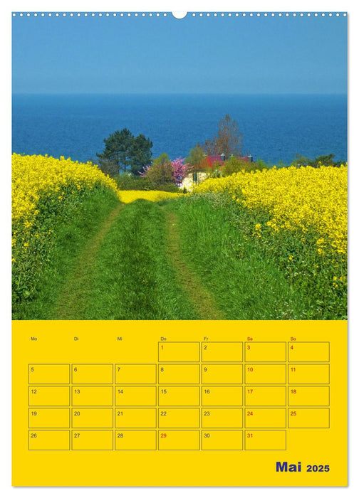 Sehnsucht nach Meer - Ostsee (CALVENDO Wandkalender 2025)