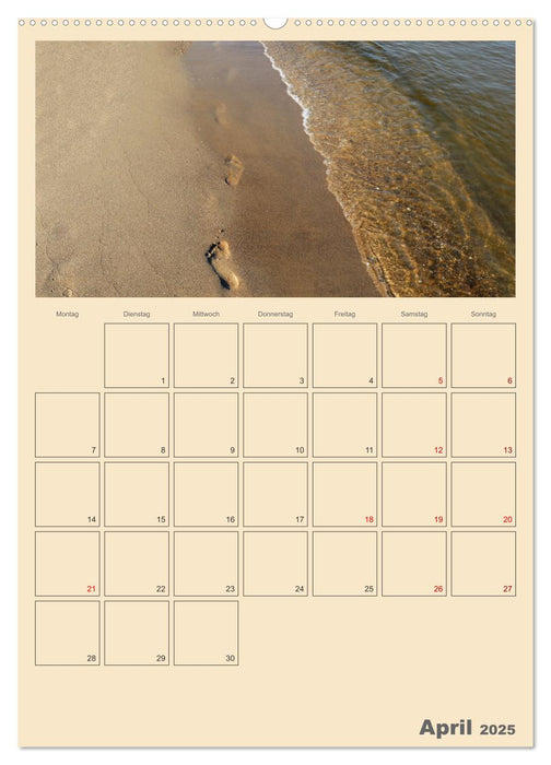 Usedom Ostsee - Terminplaner (CALVENDO Premium Wandkalender 2025)