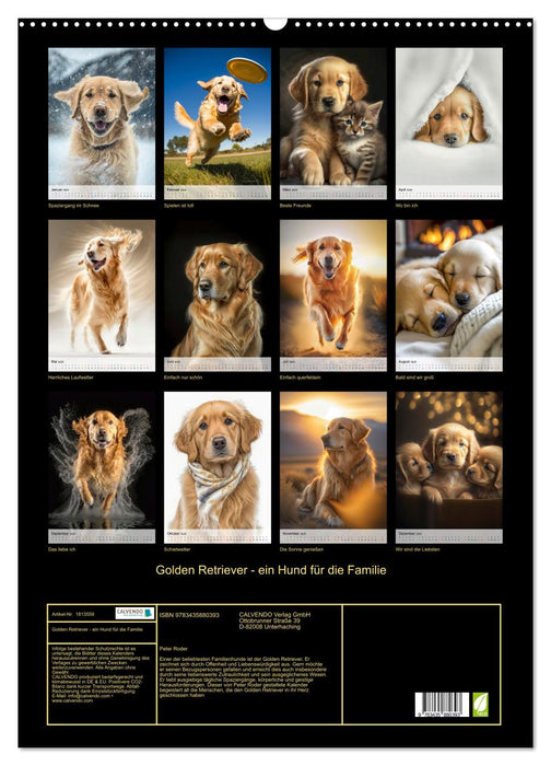 Golden Retriever - ein Hund für die Familie (CALVENDO Wandkalender 2025)