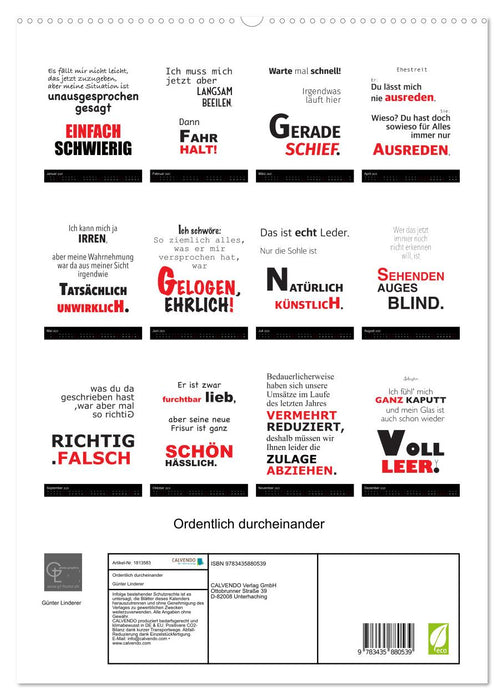 Ordentlich durcheinander (CALVENDO Premium Wandkalender 2025)