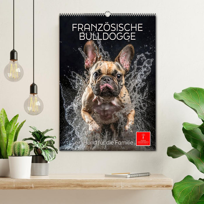 Französische Bulldogge - ein Hund für die Familie (CALVENDO Wandkalender 2025)