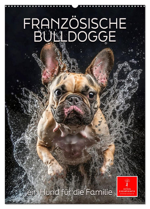 Französische Bulldogge - ein Hund für die Familie (CALVENDO Wandkalender 2025)