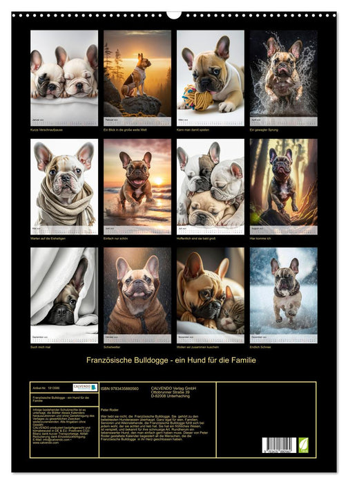 Französische Bulldogge - ein Hund für die Familie (CALVENDO Wandkalender 2025)