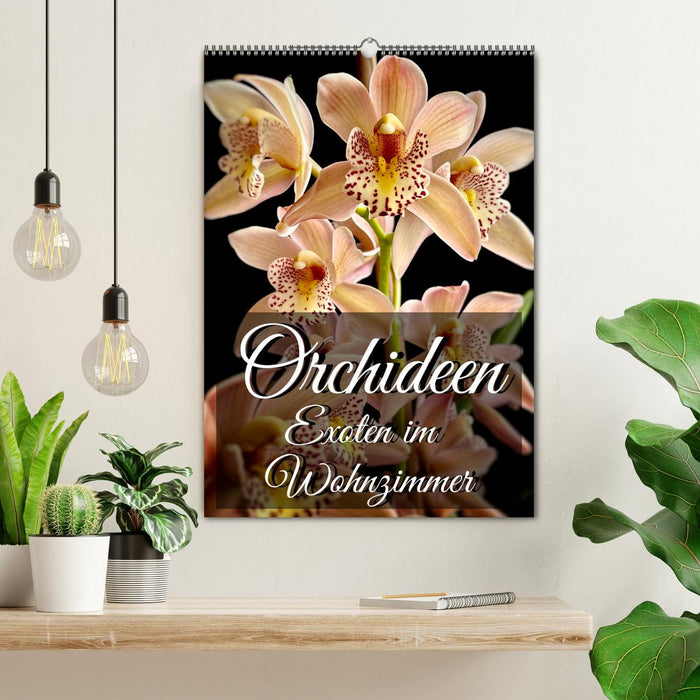 Orchideen - Exoten im Wohnzimmer (CALVENDO Wandkalender 2025)