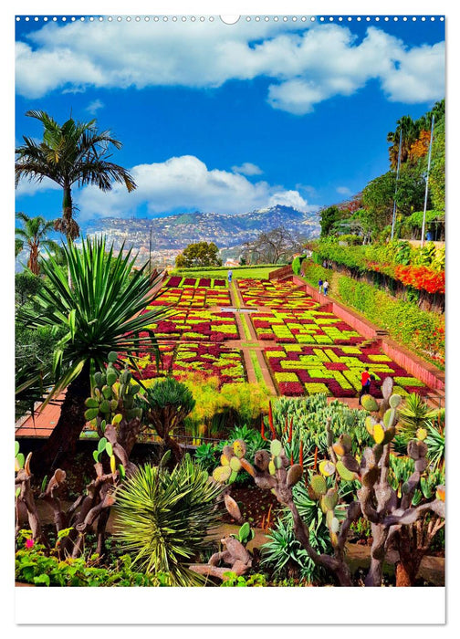 Malerisches Madeira (CALVENDO Premium Wandkalender 2025)