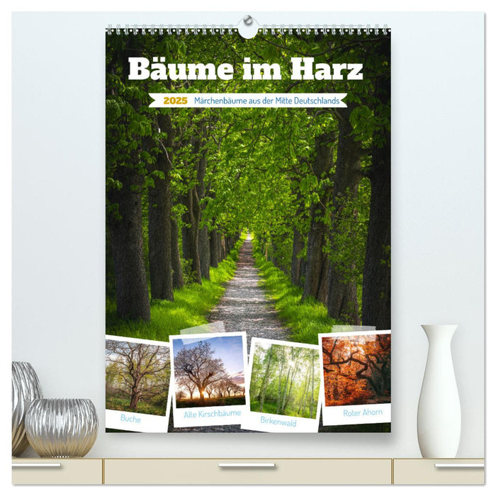 Bäume im Harz (CALVENDO Premium Wandkalender 2025)