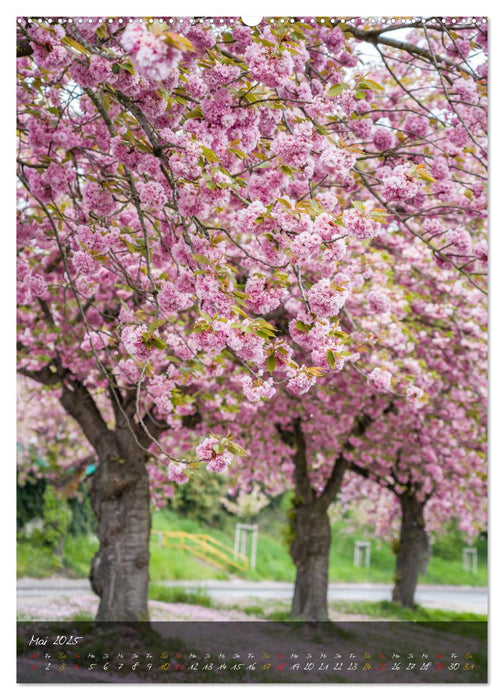 Romantisches Hückelhoven (CALVENDO Premium Wandkalender 2025)