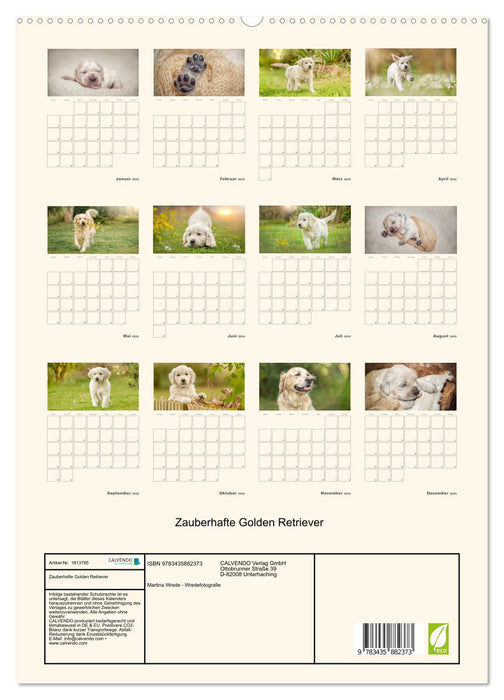 Zauberhafte Golden Retriever (CALVENDO Premium Wandkalender 2025)