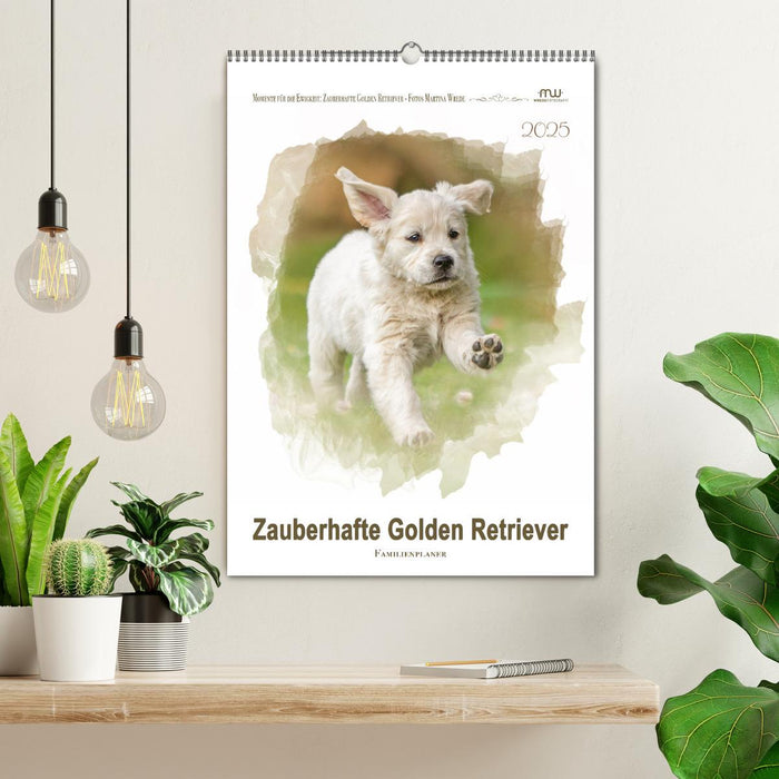 Zauberhafte Golden Retriever (CALVENDO Wandkalender 2025)