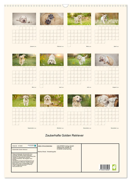 Zauberhafte Golden Retriever (CALVENDO Wandkalender 2025)