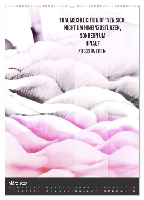 AugenweiTe Bilder.Texte.Inspirationen (CALVENDO Premium Wandkalender 2025)