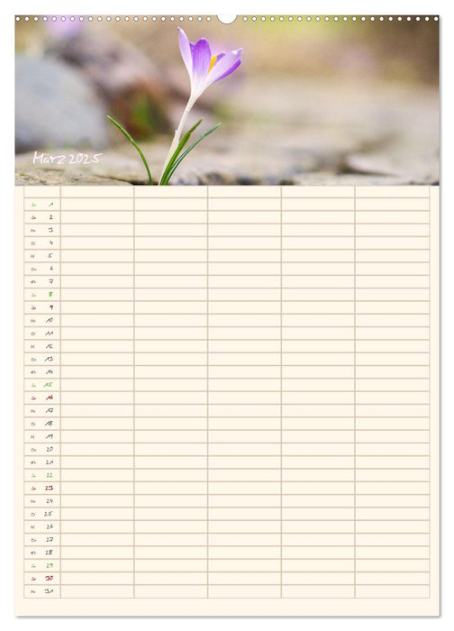 Mit Blick in den Garten (CALVENDO Premium Wandkalender 2025)