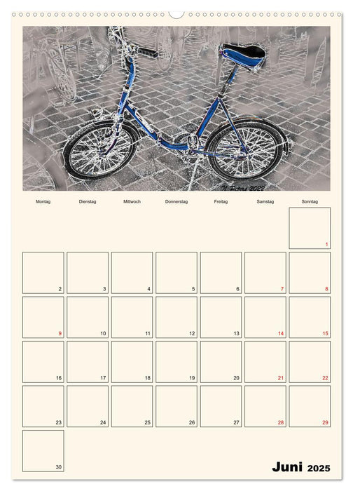 Beweg dich nach vorne! (CALVENDO Premium Wandkalender 2025)