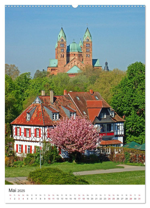 Speyer-Rund um die Maximilianstraße (CALVENDO Premium Wandkalender 2025)