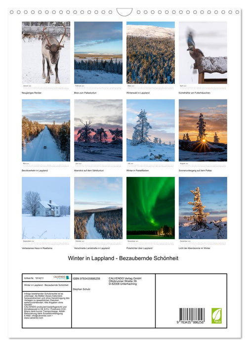 Winter in Lappland - Bezaubernde Schönheit (CALVENDO Wandkalender 2025)