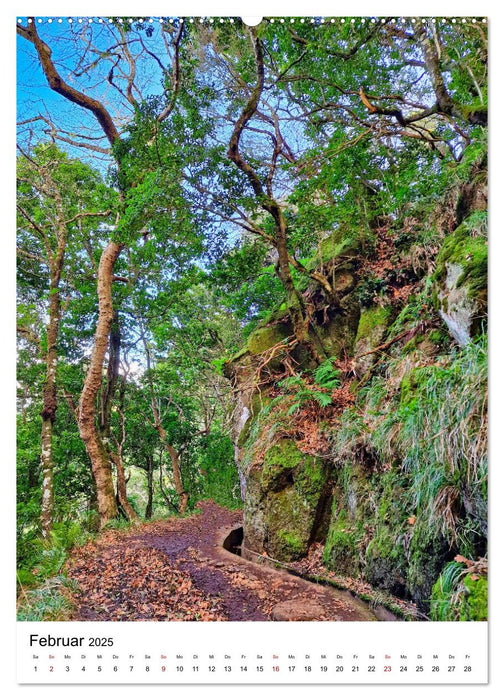 Malerisches Madeira (CALVENDO Wandkalender 2025)