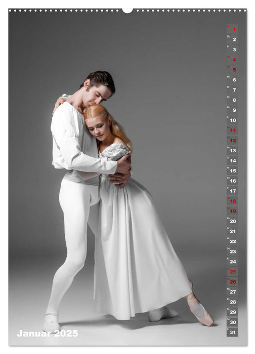 Sinneseindruck Ballett (CALVENDO Premium Wandkalender 2025)