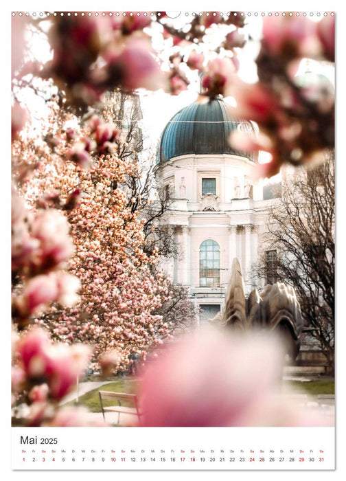 Hinreißendes Salzburg (CALVENDO Premium Wandkalender 2025)