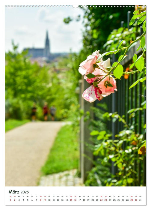 Regensburg Gärten und Stadtparks (CALVENDO Premium Wandkalender 2025)