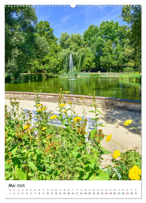 Regensburg Gärten und Stadtparks (CALVENDO Premium Wandkalender 2025)