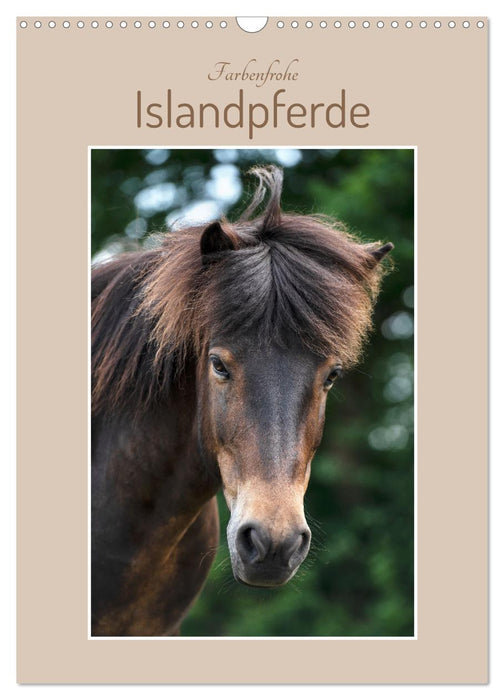 Farbenfrohe Islandpferde (CALVENDO Wandkalender 2025)