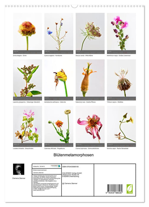 Blütenmetamorphosen (CALVENDO Premium Wandkalender 2025)