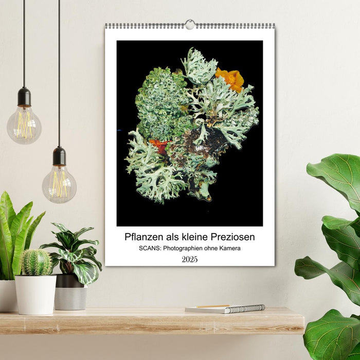 Pflanzen als kleine Preziosen (CALVENDO Wandkalender 2025)
