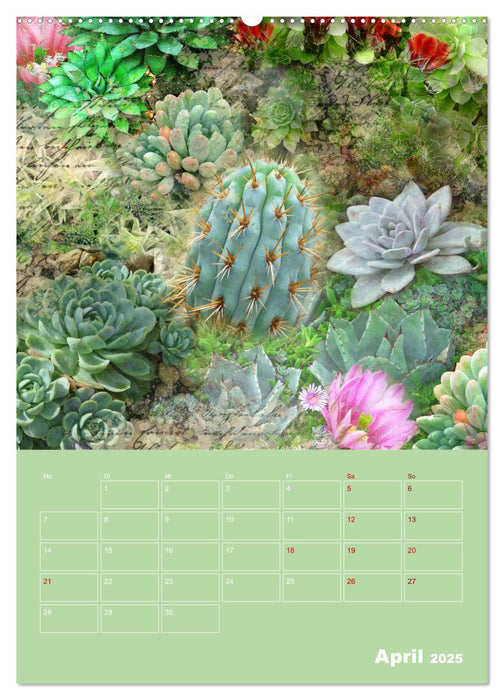 Kunterbunt gemischt - Kunterbunt gemischt - Farbenfroher Jahresplaner mit aufwändigen Pflanzencollagen (CALVENDO Premium Wandkalender 2025)