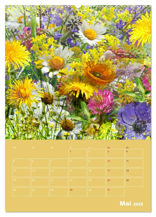 Kunterbunt gemischt - Kunterbunt gemischt - Farbenfroher Jahresplaner mit aufwändigen Pflanzencollagen (CALVENDO Premium Wandkalender 2025)