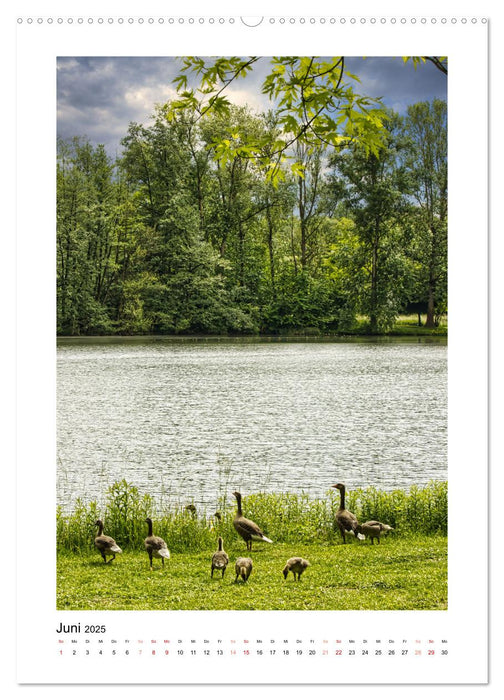 Mein Steinertsee (CALVENDO Premium Wandkalender 2025)