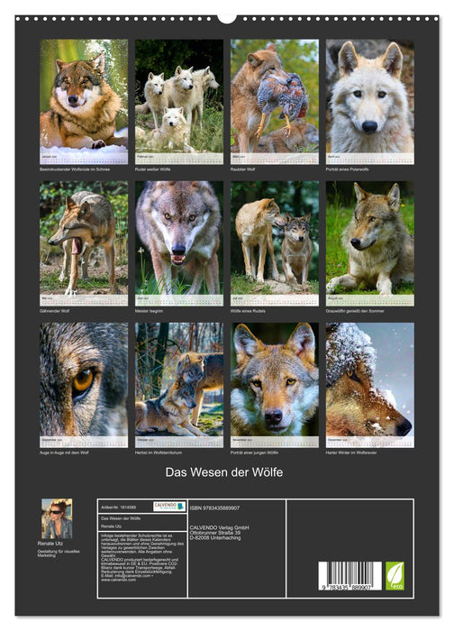 Das Wesen der Wölfe (CALVENDO Premium Wandkalender 2025)