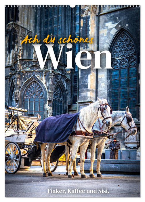 Ach du schönes Wien (CALVENDO Wandkalender 2025)