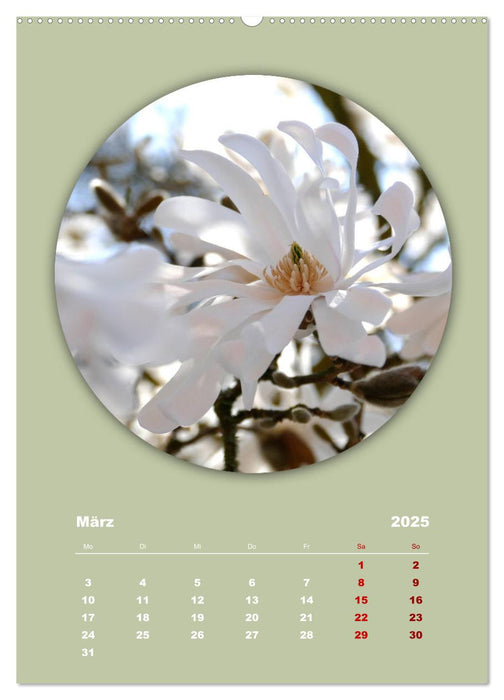 Rundherum Natur (CALVENDO Premium Wandkalender 2025)