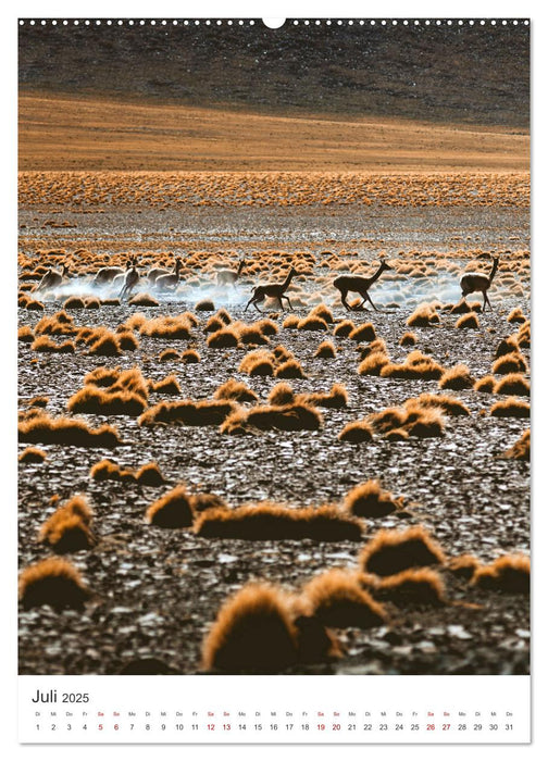 Chile - Ein Land mit unglaublicher Vielfalt. (CALVENDO Premium Wandkalender 2025)