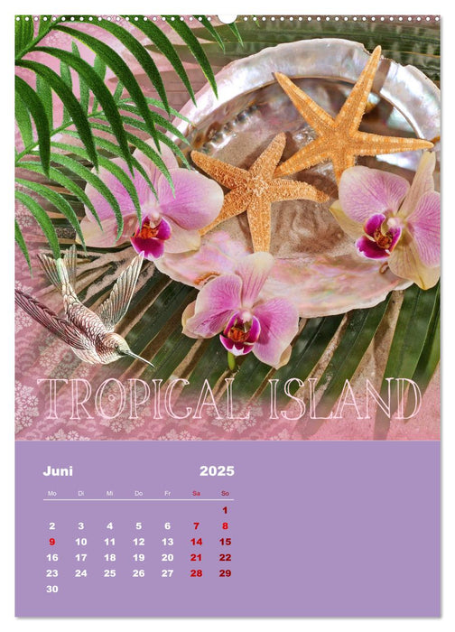 Geschenke vom Meer (CALVENDO Premium Wandkalender 2025)