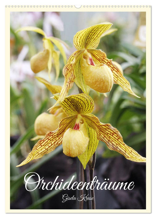 Orchideenträume (CALVENDO Wandkalender 2025)