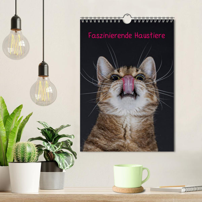 Faszinierende Haustiere (CALVENDO Wandkalender 2025)